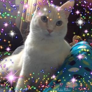 Meet your Posher, Paula